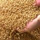 Food Security image